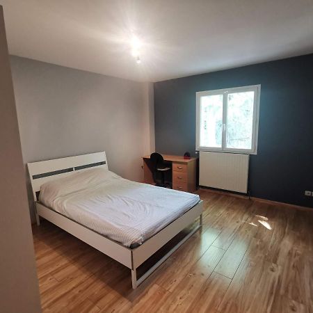 Chambre D'Hote Dans Une Maison Avec Parking Privee 圣艾蒂安 外观 照片